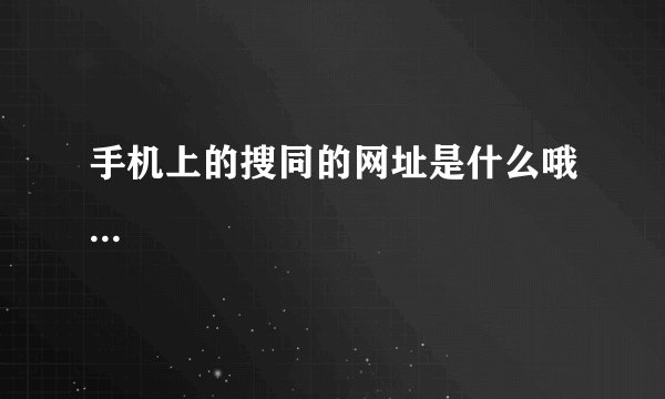 手机上的搜同的网址是什么哦...