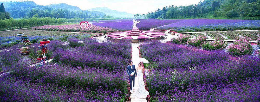 仙谷由人的介绍