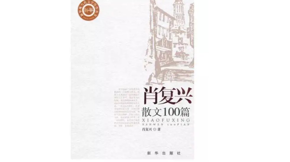 肖复兴的主要作品是什么?