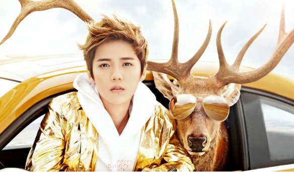 鹿晗有老婆了吗