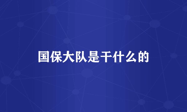 国保大队是干什么的