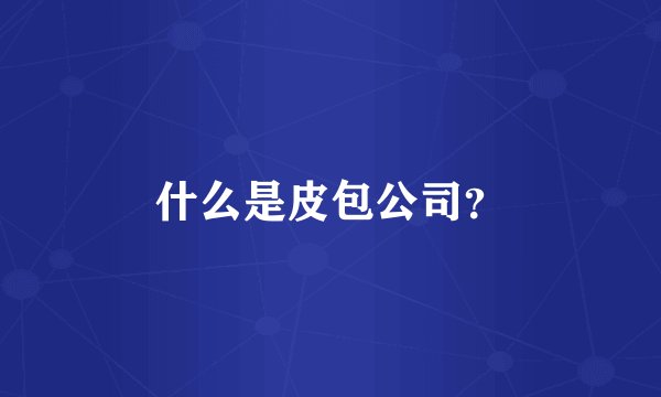 什么是皮包公司？