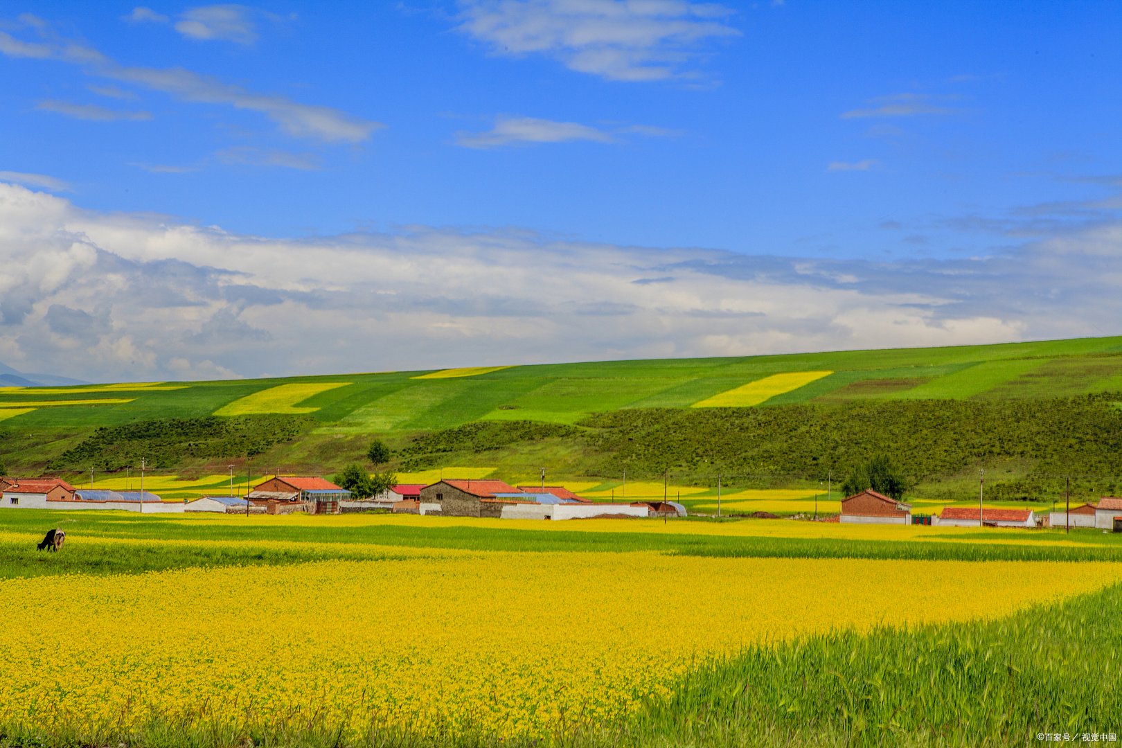 你知道，中国最安全的五个省是哪些吗？