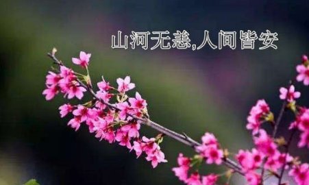 愿山河无恙,人间皆安是什么意思？