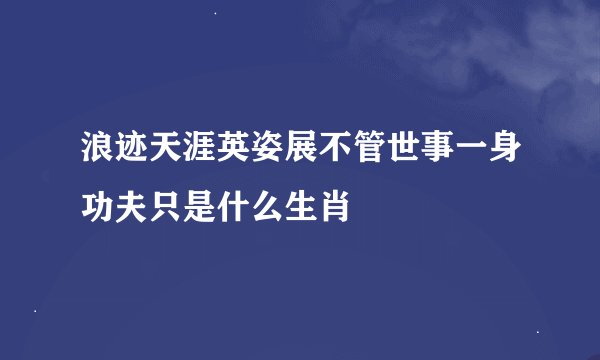 浪迹天涯英姿展不管世事一身功夫只是什么生肖