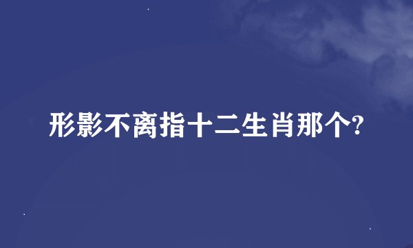 形影不离指十二生肖那个?