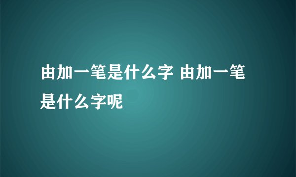由加一笔是什么字 由加一笔是什么字呢