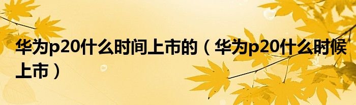 华为p20什么时间上市的华为p20什么时候上市