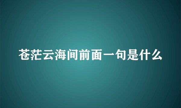 苍茫云海间前面一句是什么
