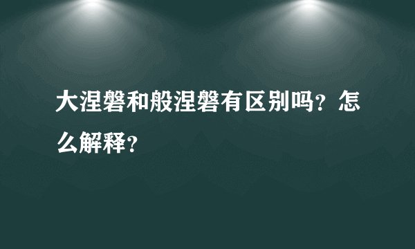 大涅磐和般涅磐有区别吗？怎么解释？
