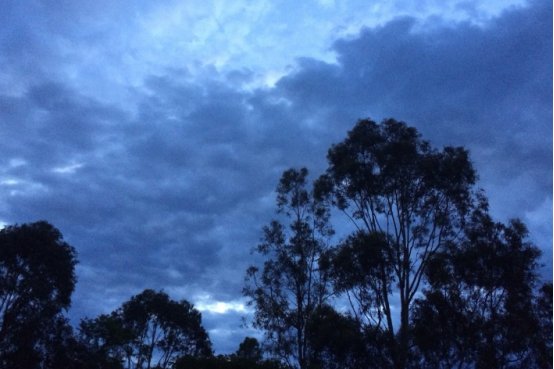 月黑风高什么意思含义