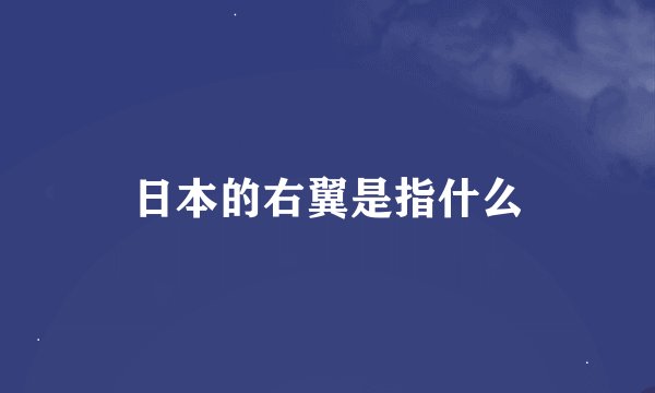 日本的右翼是指什么