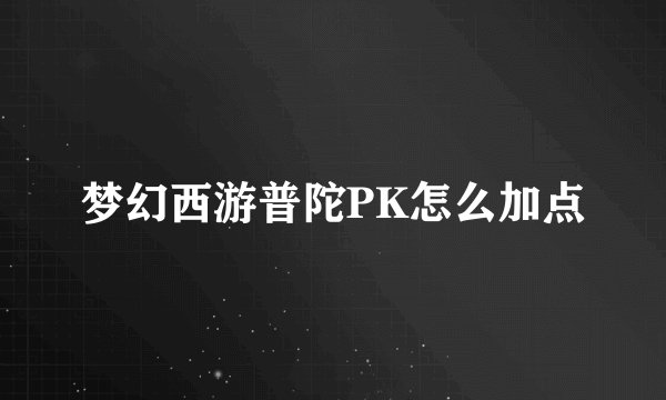 梦幻西游普陀PK怎么加点