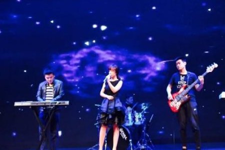 成都文理学院蓝皮书有哪些专业？