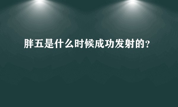 胖五是什么时候成功发射的？