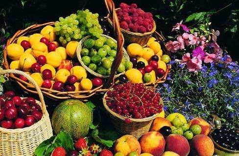 秋天丰收的果实有那些