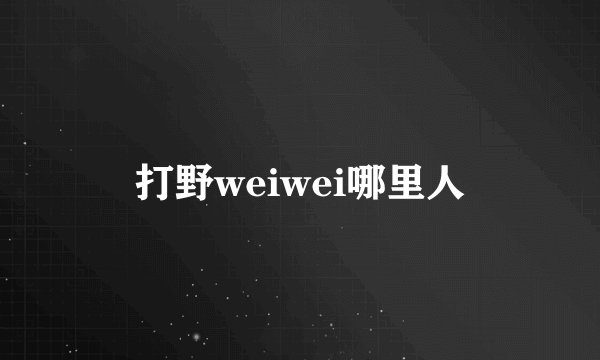 打野weiwei哪里人