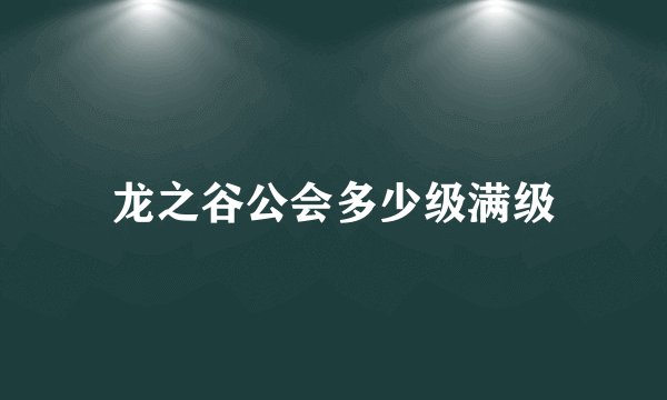 龙之谷公会多少级满级