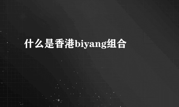 什么是香港biyang组合