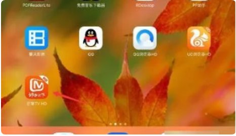 ipad芒果tv弹幕按钮不见了怎么办?