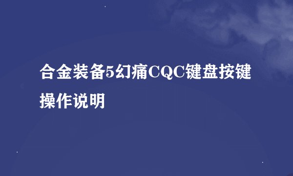 合金装备5幻痛CQC键盘按键操作说明