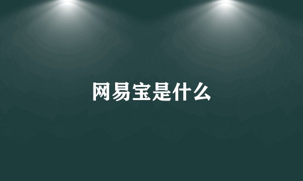 网易宝是什么