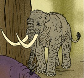 欧洲矮象的矮象与神话