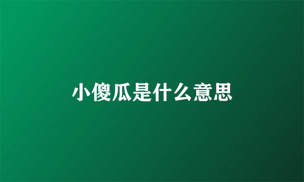 小傻瓜是什么意思