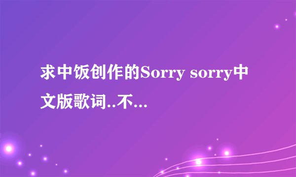 求中饭创作的Sorry sorry中文版歌词..不是音译喔!!!!