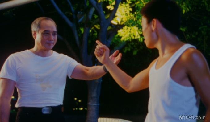 蔡李佛：极限拳速的剧情介绍