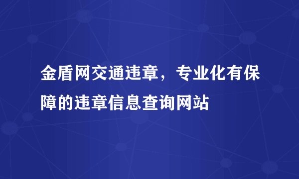 金盾网交通违章，专业化有保障的违章信息查询网站