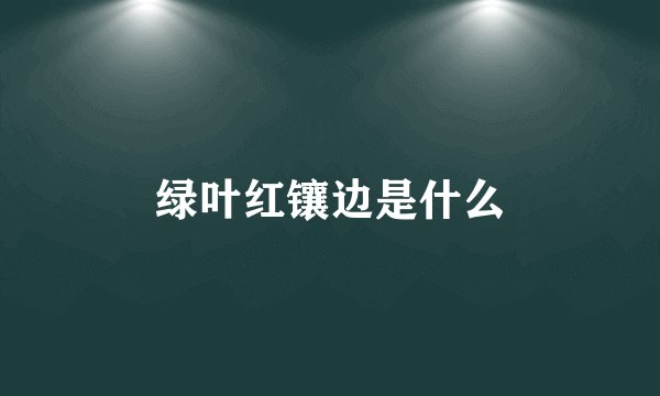绿叶红镶边是什么