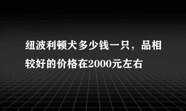 纽波利顿犬多少钱一只，品相较好的价格在2000元左右