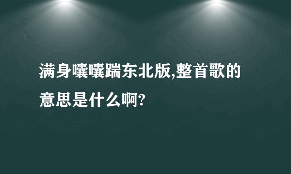 满身囔囔踹东北版,整首歌的意思是什么啊?