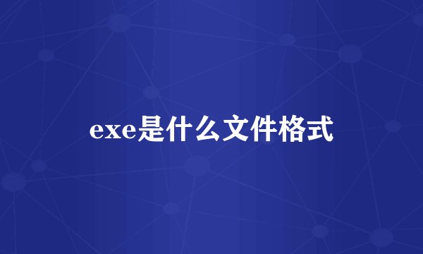 exe是什么文件格式