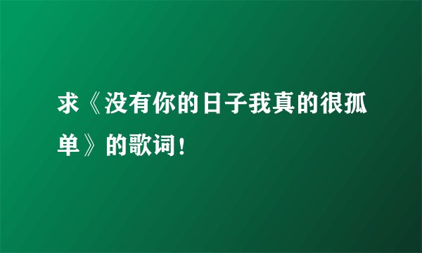 求《没有你的日子我真的很孤单》的歌词！