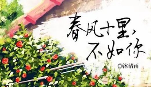 沐清雨的全部小说