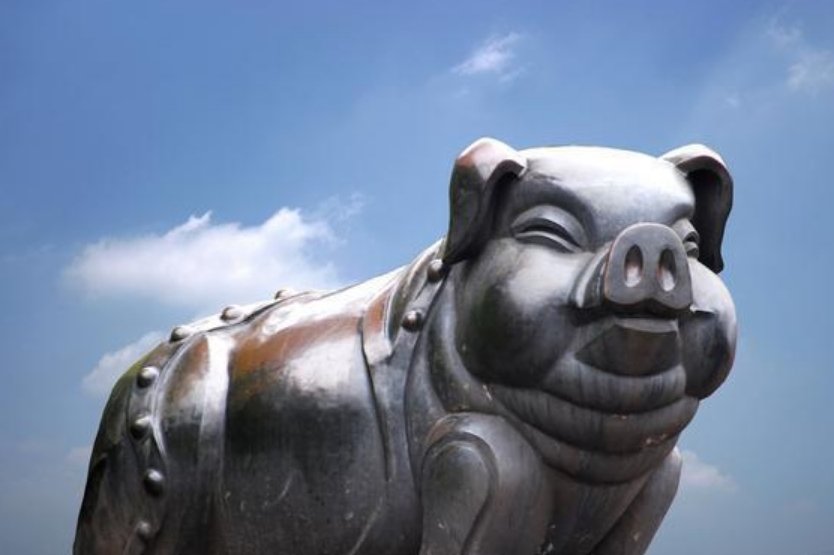 装怯作勇打一个生肖动物是什么