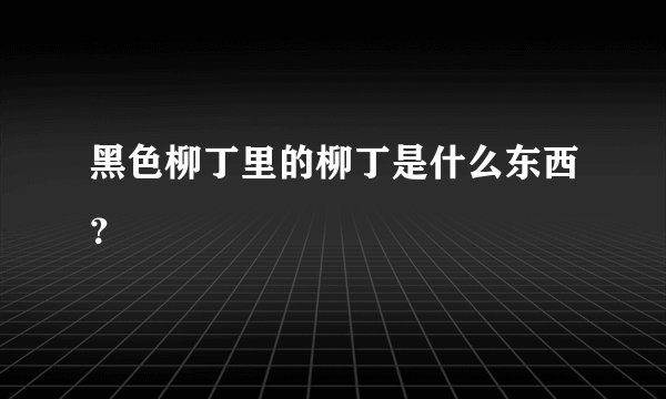 黑色柳丁里的柳丁是什么东西？