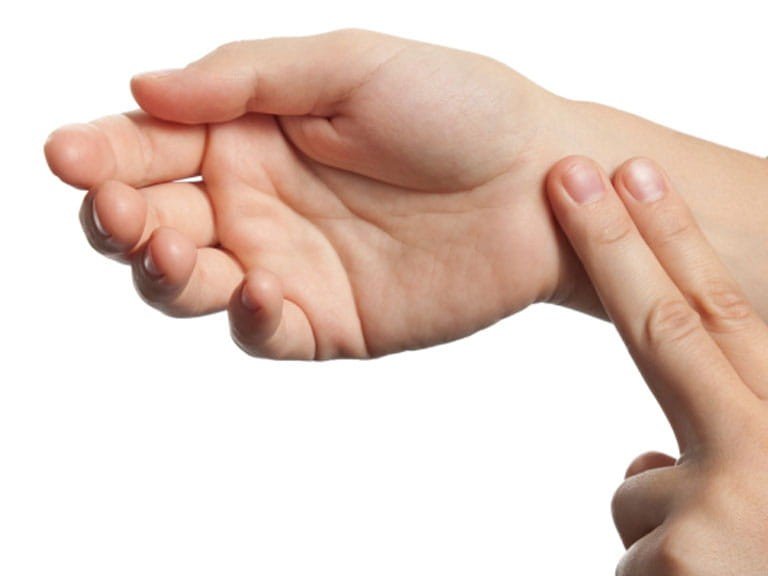 pulse是什么意思啊