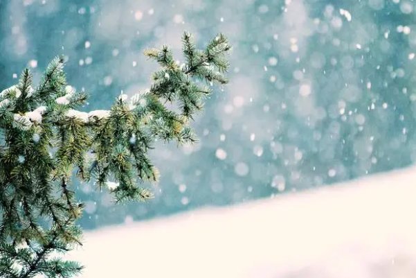 描写十二月的古诗