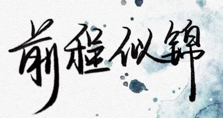 前程似锦的近义词