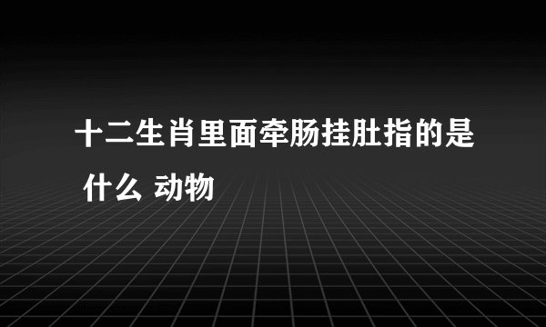 十二生肖里面牵肠挂肚指的是 什么 动物