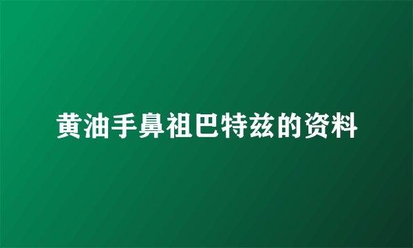 黄油手鼻祖巴特兹的资料