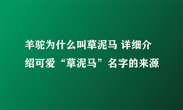 羊驼为什么叫草泥马 详细介绍可爱“草泥马”名字的来源