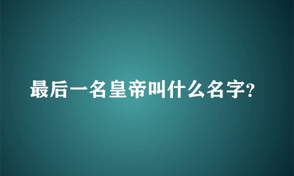最后一名皇帝叫什么名字？
