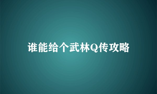 谁能给个武林Q传攻略