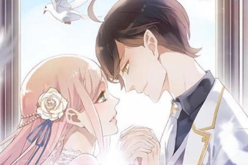 夜晚适合一个人看的小说