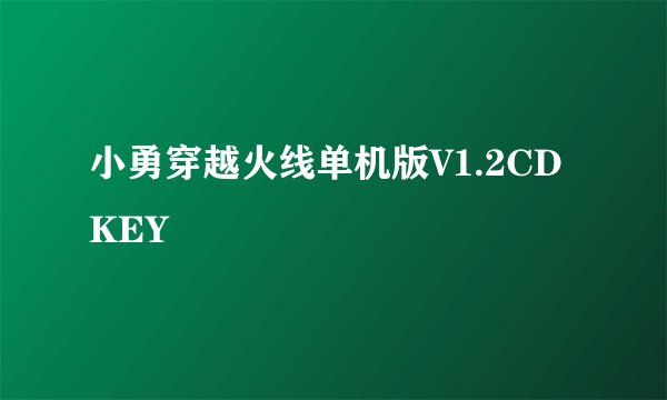 小勇穿越火线单机版V1.2CD KEY