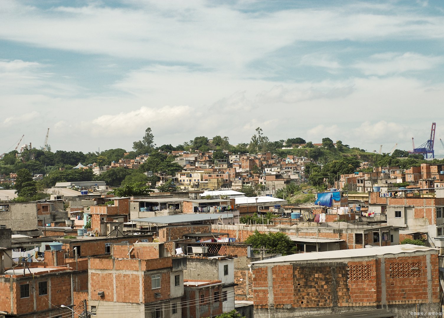 义务教育法颁布哪一年